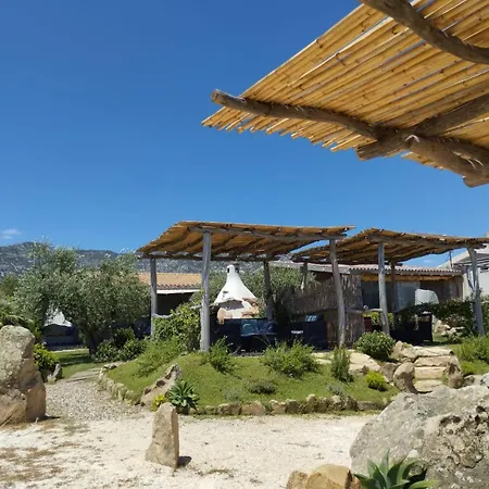 Cuccuru Relax - A Iun Q9882 *