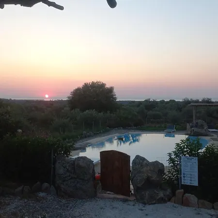 Cuccuru Relax - A Iun Q9882 *