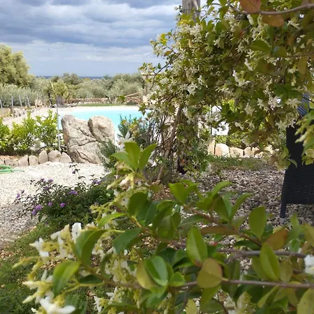 Cuccuru Relax - A Iun Q9882 *