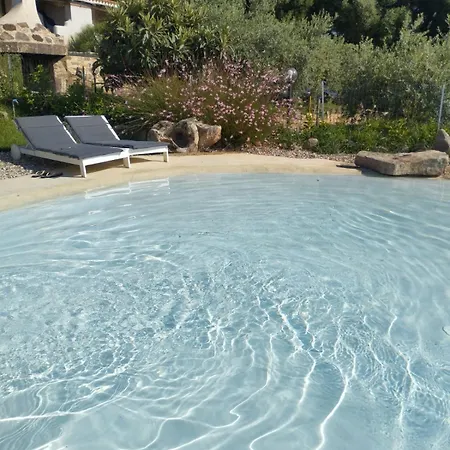 Cuccuru Relax - A Iun Q9882 *