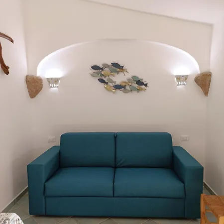 Cuccuru Relax - A Iun Q9882 *