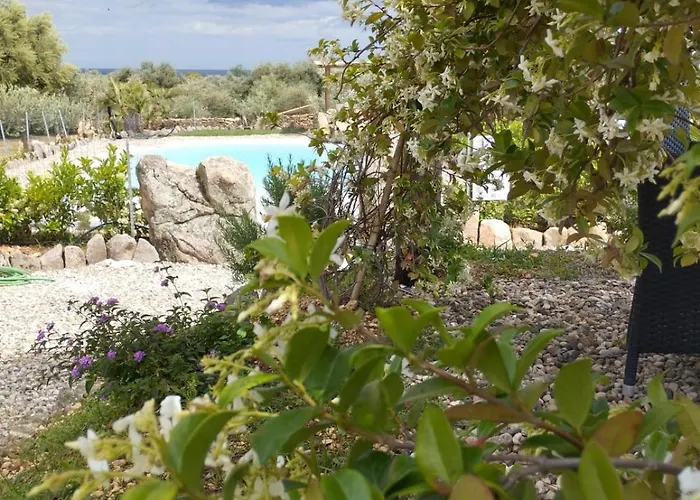 Cuccuru Relax - A Iun Q9882 *